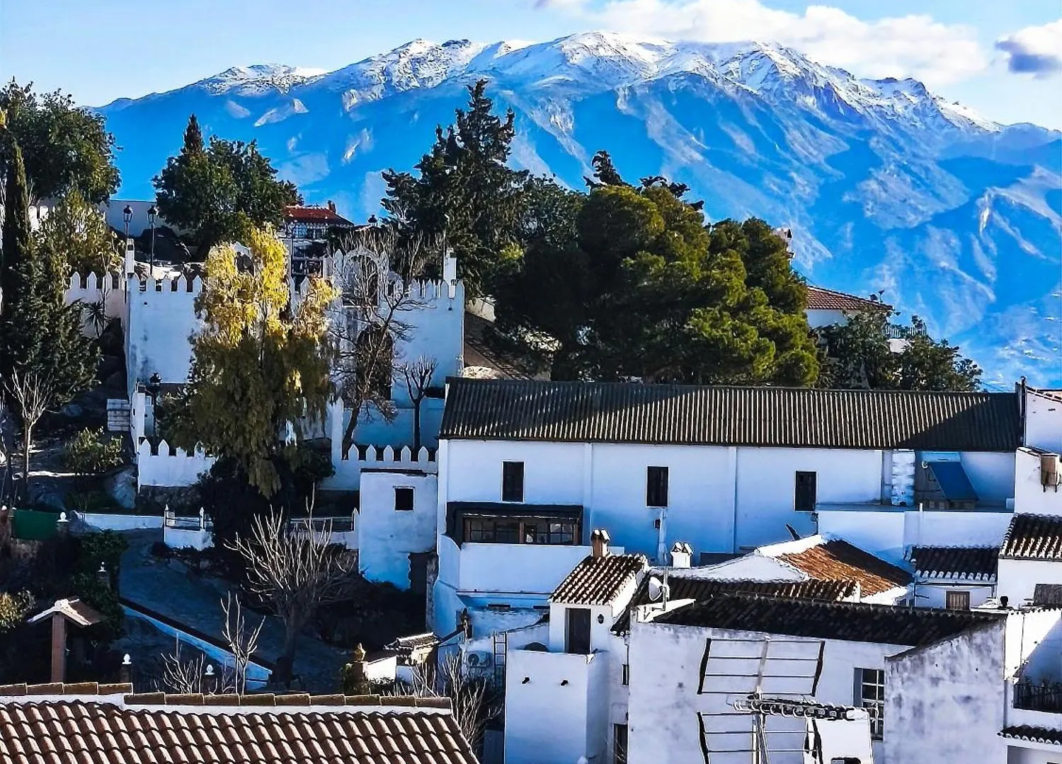 La Biznaga - Comares Villa Spain